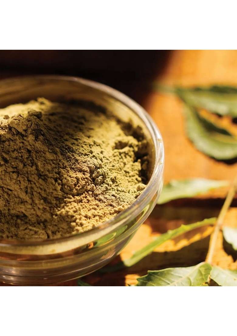 ISHALIFE Neem Powder Helps in daily detox (100gm) - Indya