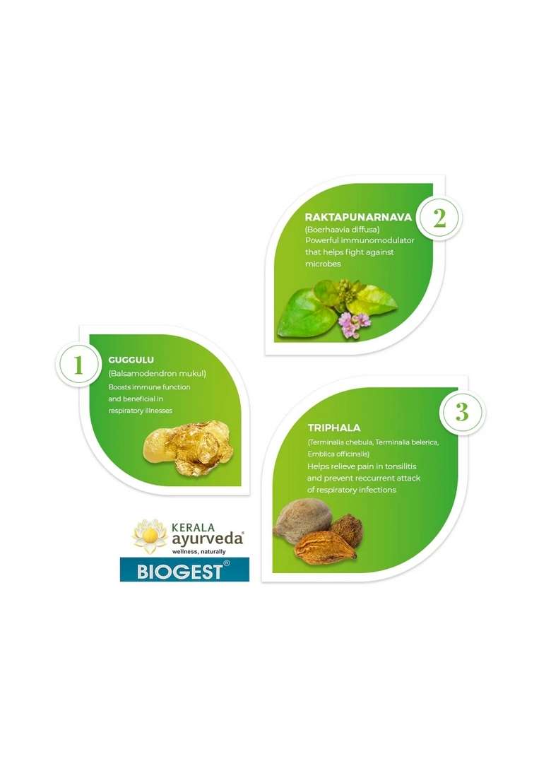 Keralaayurveda Biogest Tablet (100 Nos) - Indya