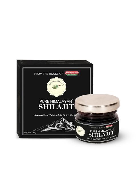 Baidyanath Ayurvedant Pure Himalayan Shilajit