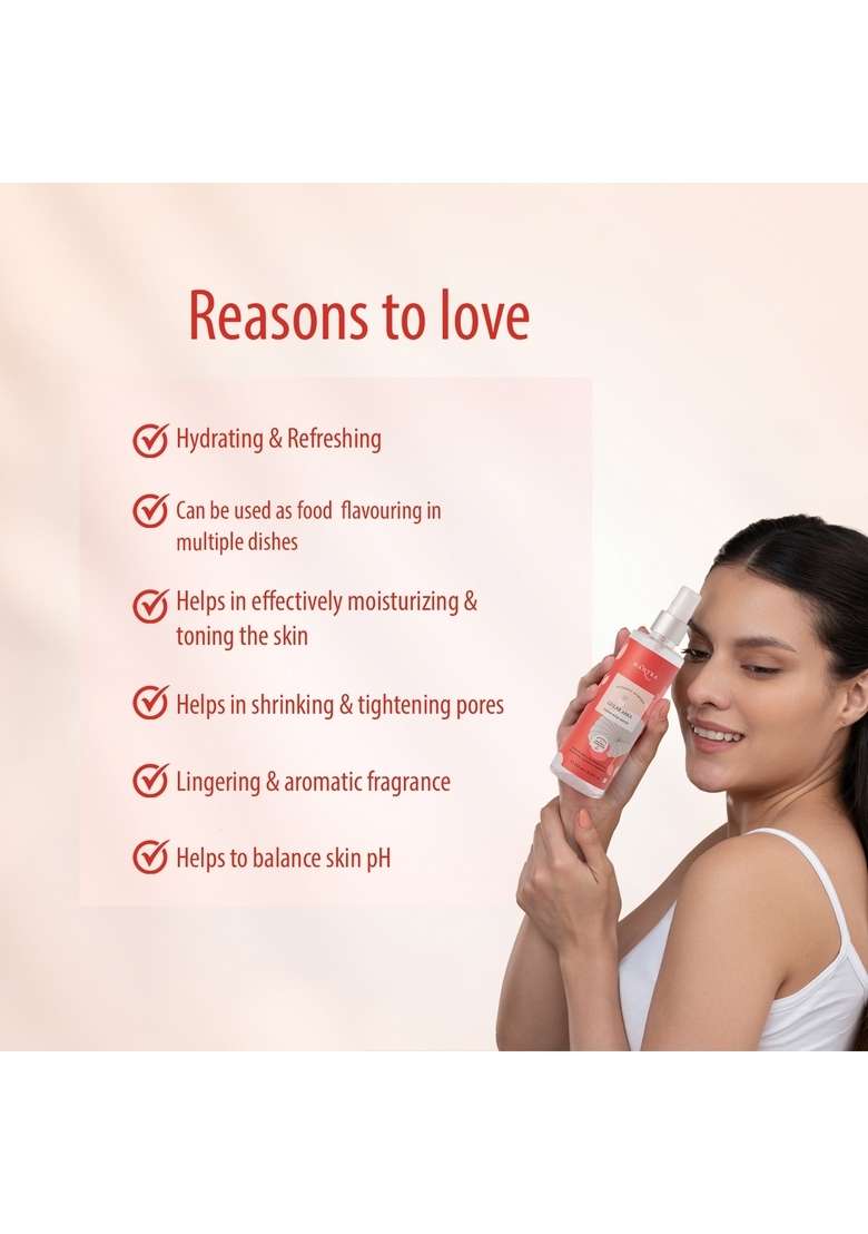 Baidyanath Mantra Gulab Arka Indian Rose Water - Indya