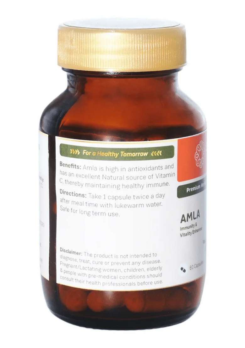 Sitaram Ayurveda Amla | 60 Capsules - Indya