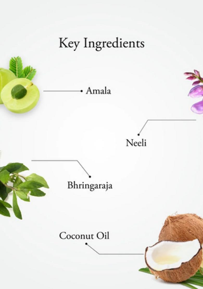 Sitaram Ayurveda Neelibhringadi Hair Oil