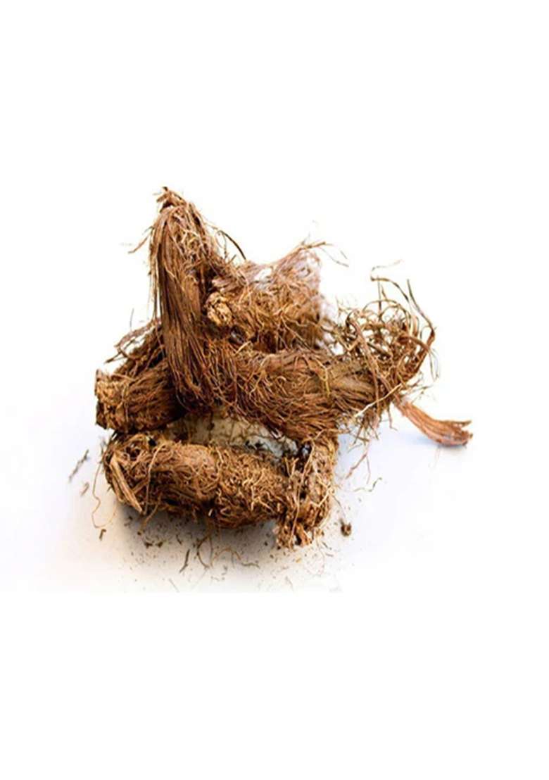 Balu Herbals Musk Root (Jatamansi) 100G - Indya