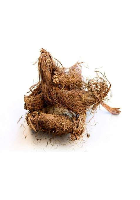 Balu Herbals Musk Root (Jatamansi) 100G