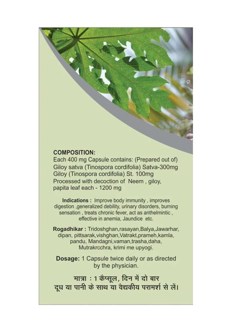 Basic Ayurveda Giloy Power 40 Capsules - Indya