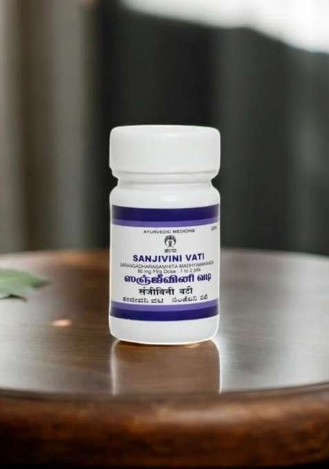 Ayurveda Sanjeevaneevati-Pills 10 Gm
