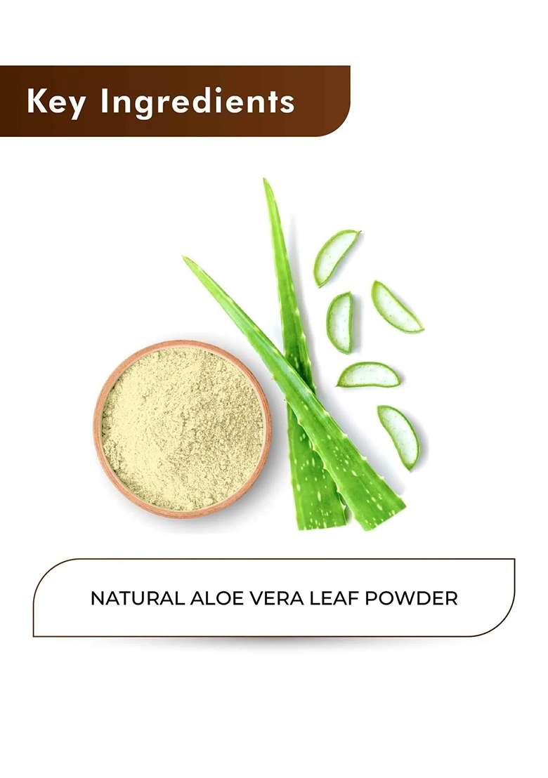 Healthnwellness H&C Natural Aloe Vera Powder 100Gm - Hydration & Glow - Indya