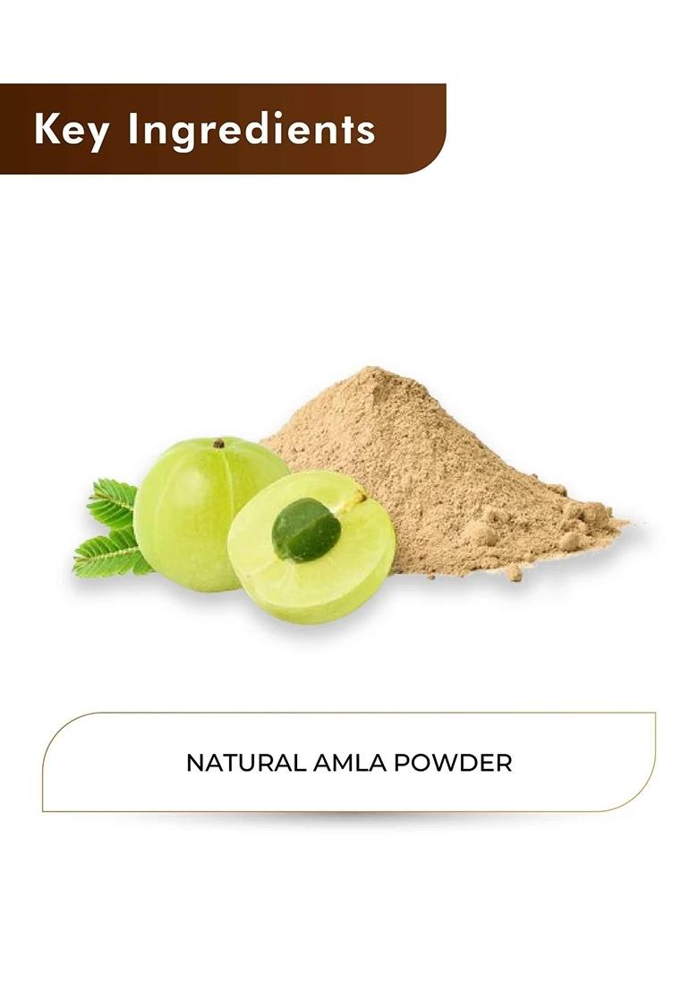 Healthnwellness H&C Natural Amla Powder 100Gm