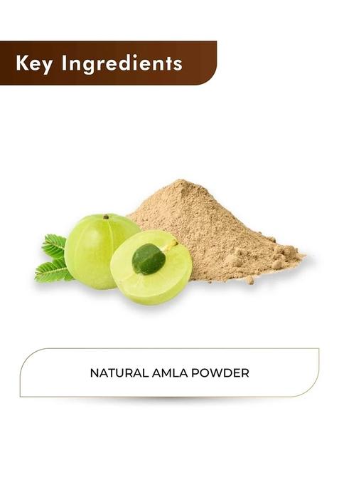 Healthnwellness H&C Natural Amla Powder 100Gm
