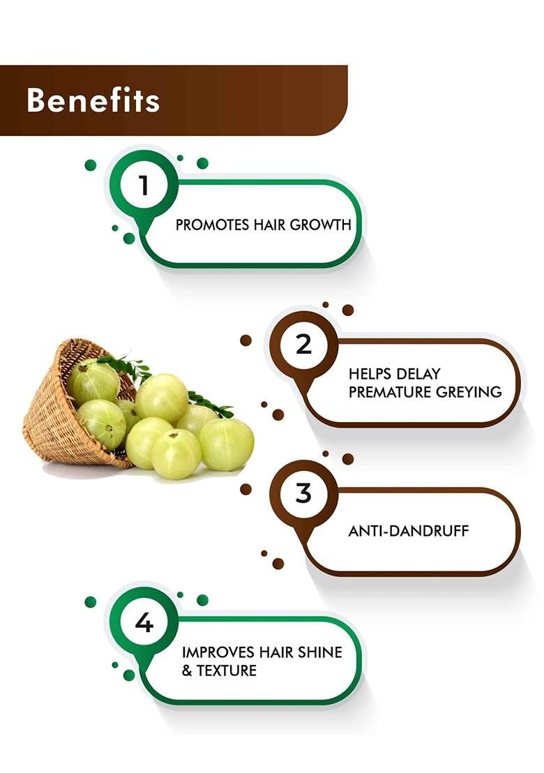 Healthnwellness H&C Natural Amla Tablets 350Mg 60 Count - Immunity & Hair Growth Support - Indya