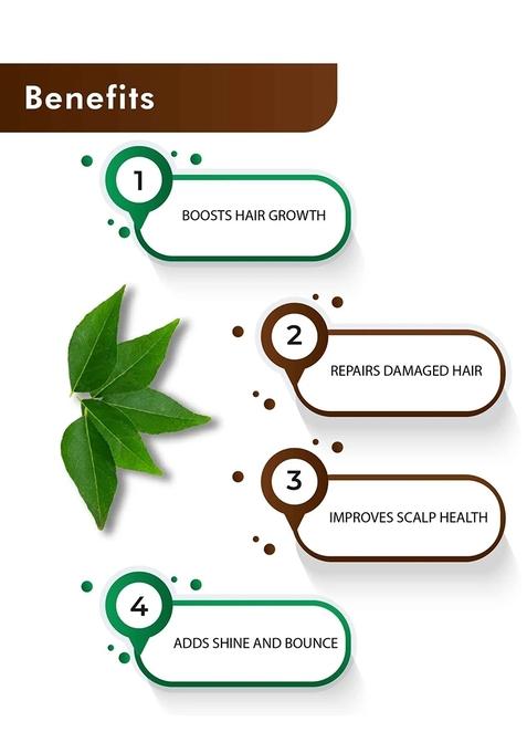 Healthnwellness H&C Natural Curry Leaves Powder 100Gm