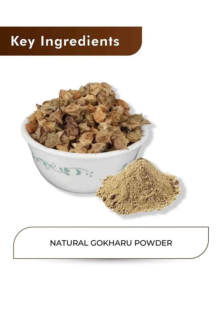 Healthnwellness H&C Natural Gokshura Powder 100Gm - Stamina & Vitality Booster - Indya