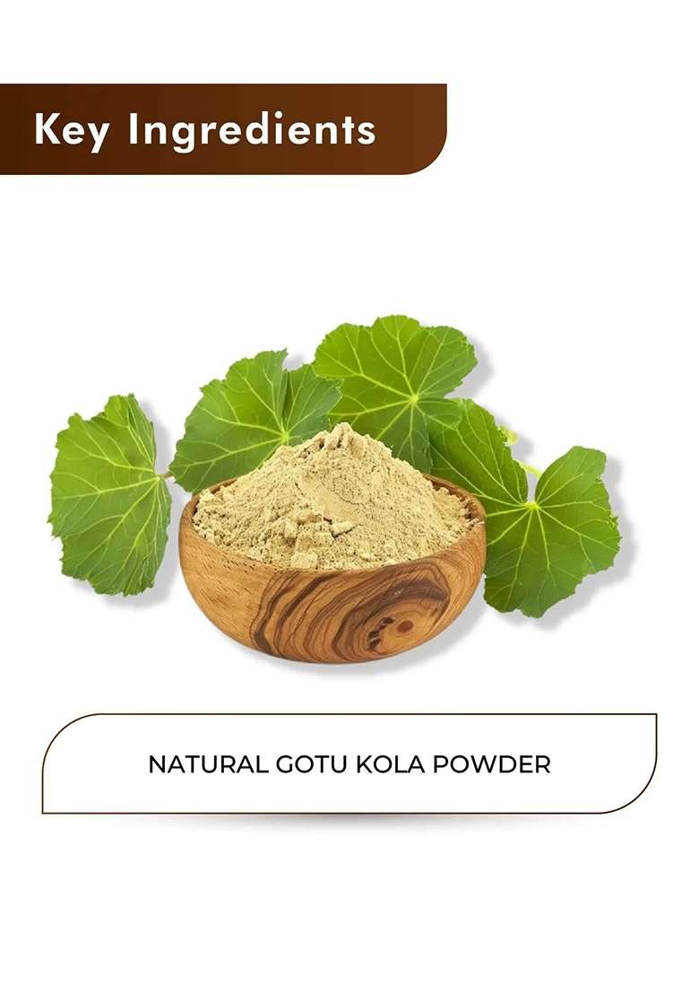 Healthnwellness H&C Natural Gotu Kola Powder 100Gm - Brain & Memory Support - Indya