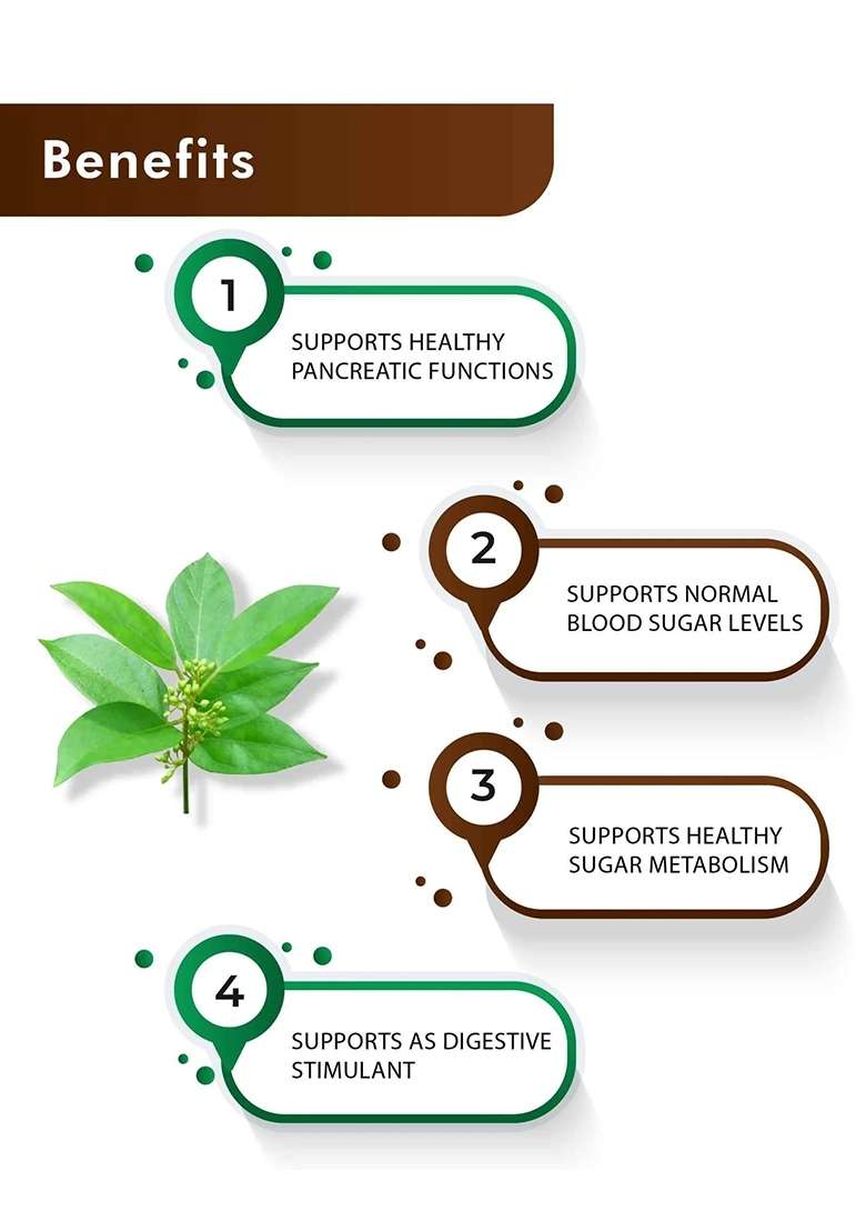 Healthnwellness H&C Natural Gymnema Sylvestre Tablets 350Mg - Blood Sugar Control & Sugar Craving Support 60 Tablets - Indya