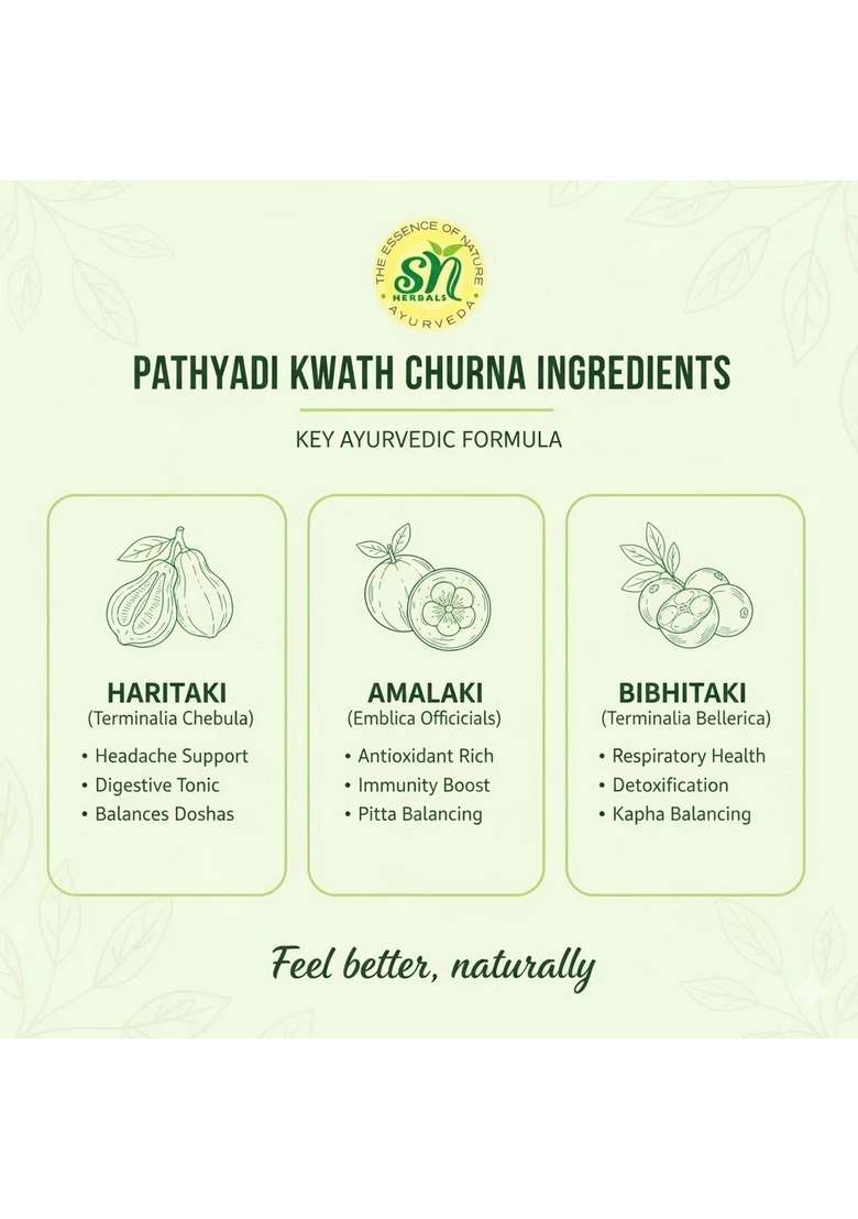 Snherbals Pathyadi Kwath Churna Pack Of 3 - Indya