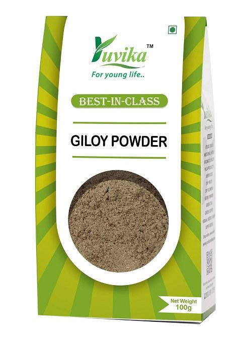 Yuvikaherbs Giloy Powder 100G Pack of 1