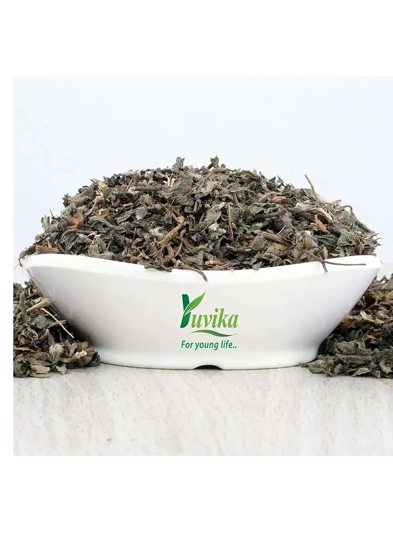 Yuvikaherbs Bhringraj Leaves Pack of 1 - Indya