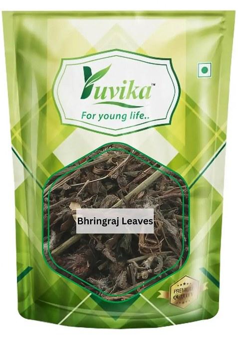 Yuvikaherbs Bhringraj Leaves Pack of 1