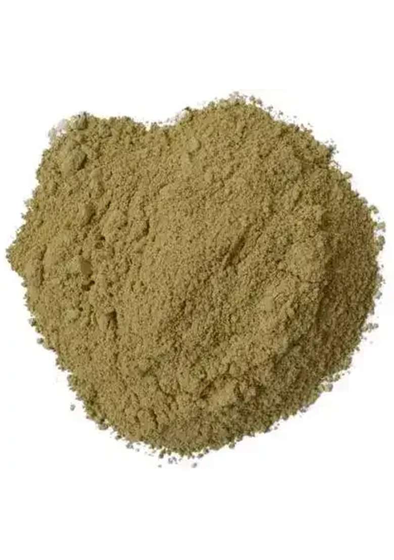 Yuvikaherbs Bhumi Amla Powder 100G Pack of 1 - Indya