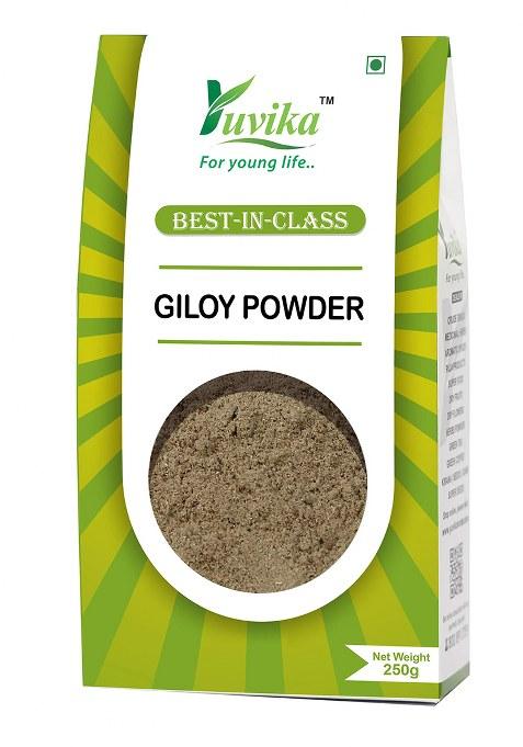 Yuvikaherbs Giloy Powder - Guduchi 250G Pack of 1
