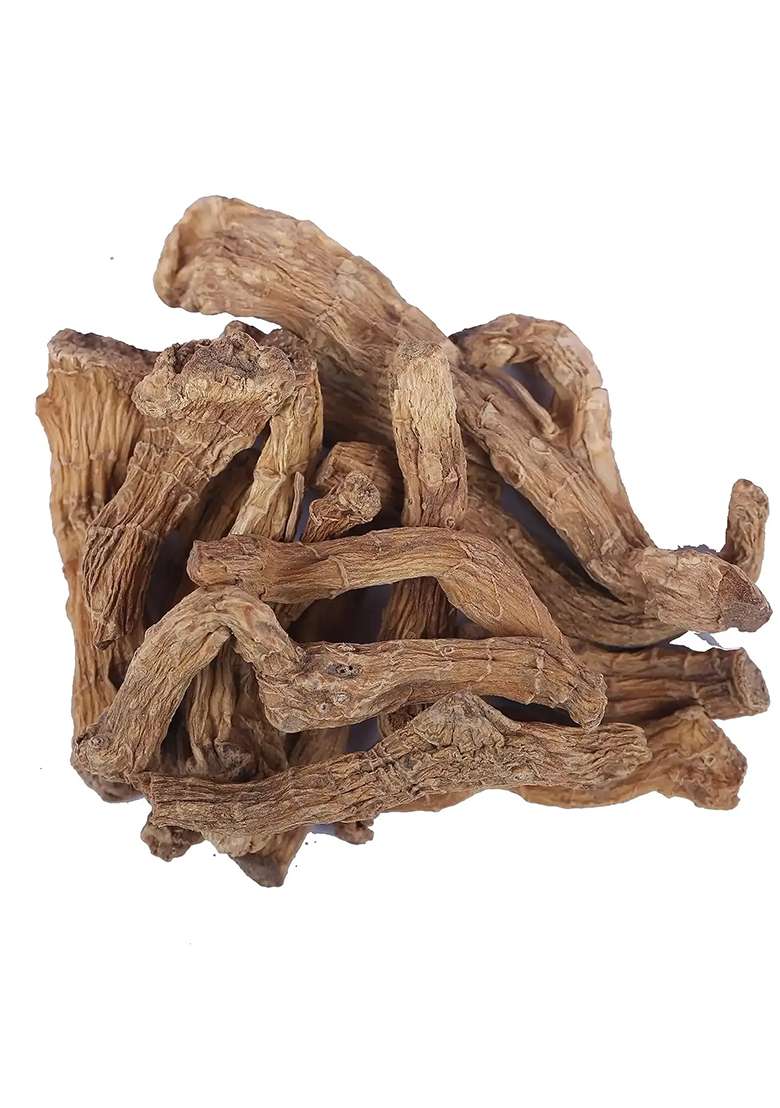 Yuvikaherbs Shakakul Mishri - Shakakul Musli Pack of 1 - Indya