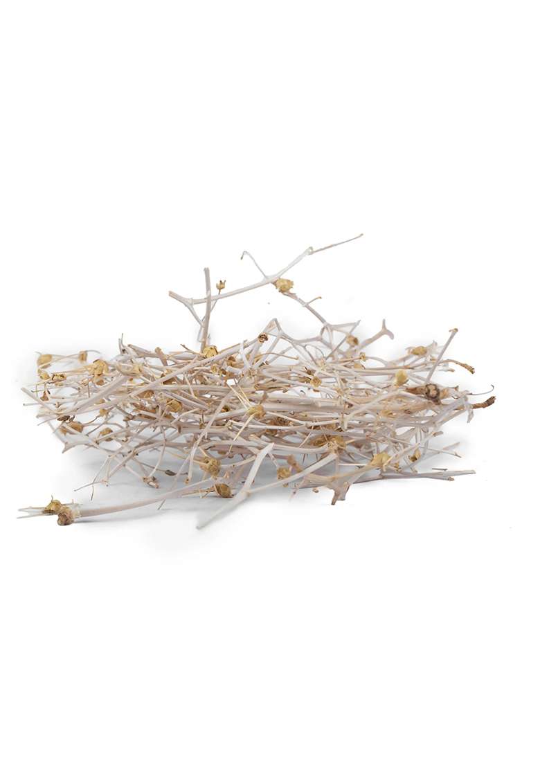 Yuvikaherbs Badabard Pack of 1 - Indya