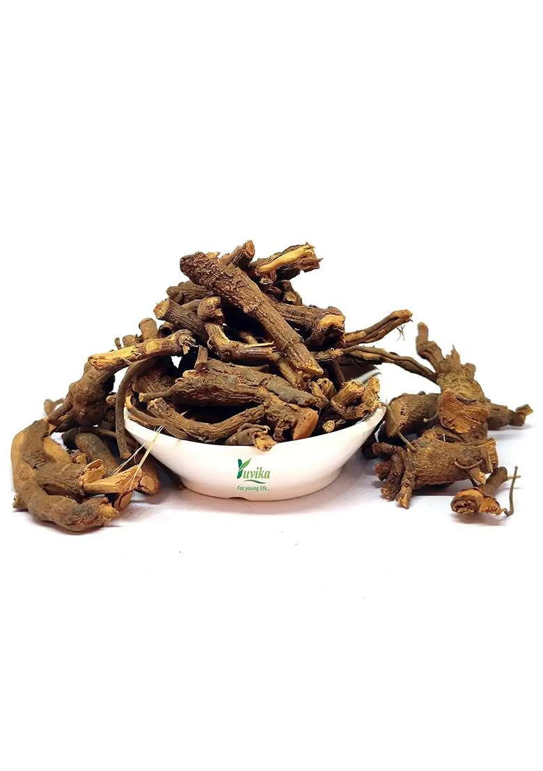 Yuvikaherbs Dantimool Pack of 1 - Indya