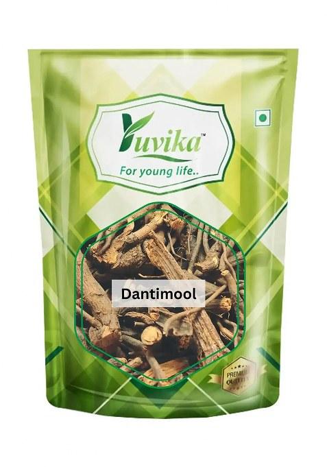 Yuvikaherbs Dantimool Pack of 1