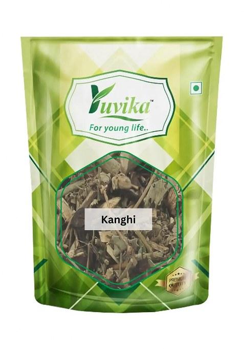 Yuvikaherbs Kanghi - Atibala - Mahabala Pack of 1
