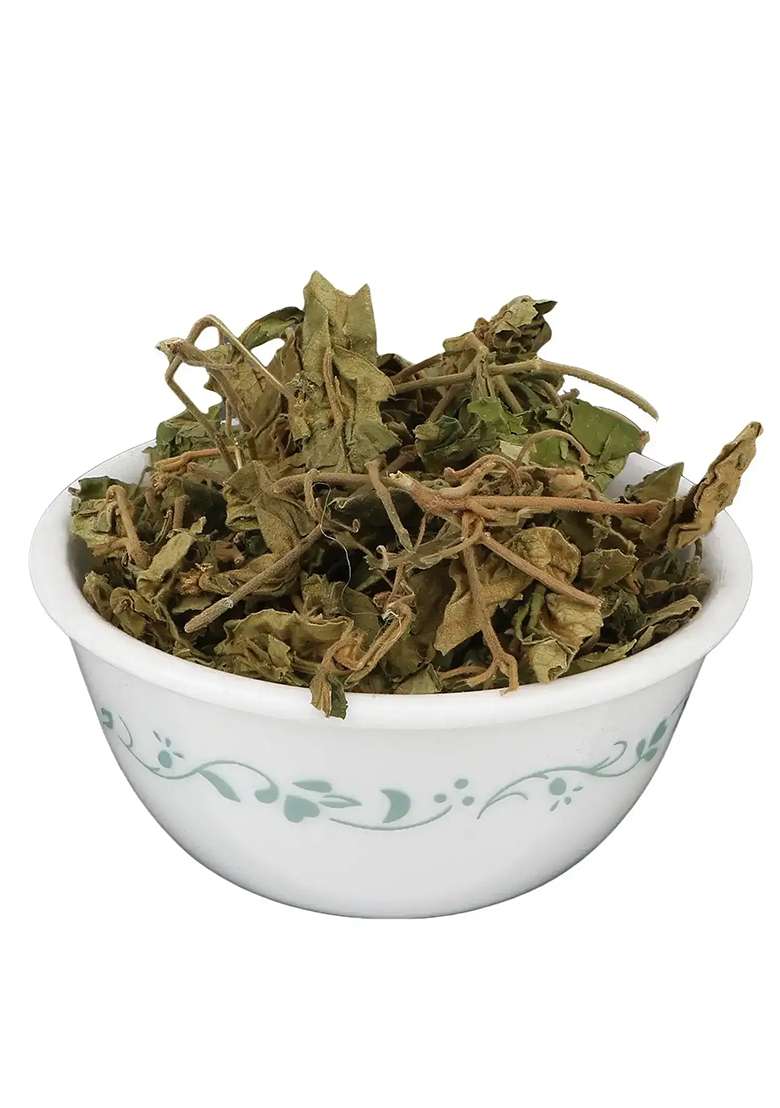 Yuvikaherbs Gurmar Leaves Pack of 1 - Indya