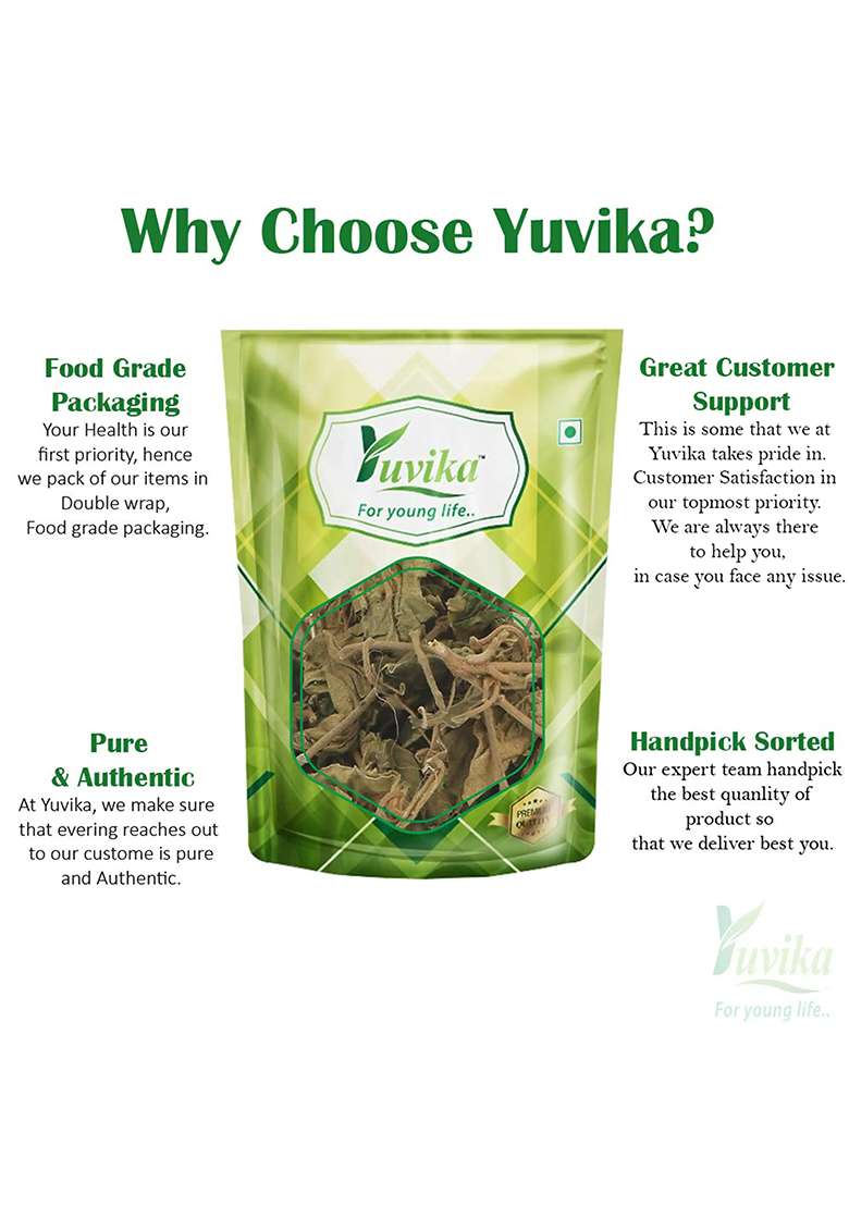 Yuvikaherbs Gurmar Leaves Pack of 1 - Indya