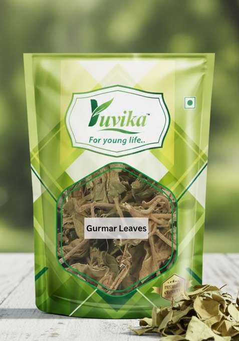Yuvikaherbs Gurmar Leaves Pack of 1