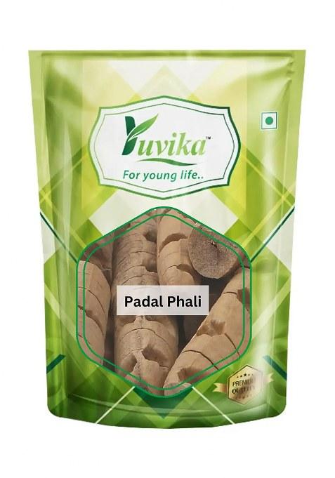 Yuvikaherbs Padal Phali - Amotha Pack of 1