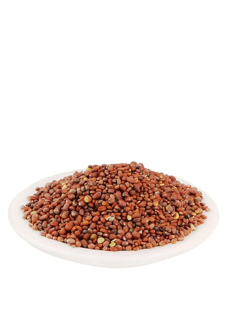 Yuvikaherbs Mooli Beej - Radish Seeds (Not for Sowing) Pack of 1 - Indya