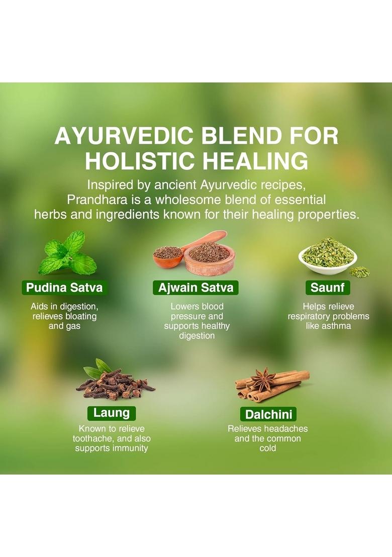 Maharishi Ayurveda Prandhara- Ayurvedic Oil For Common Ailments | Nasal Congestion, Headache & Toothache Multi-Purpose Relief From Cold, Cough| 3Ml