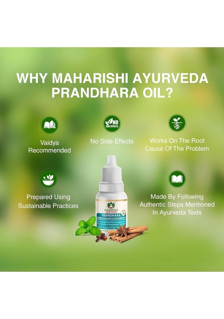 Maharishi Ayurveda Prandhara- Ayurvedic Oil For Common Ailments | Nasal Congestion, Headache & Toothache Multi-Purpose Relief From Cold, Cough| 3Ml