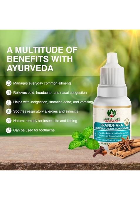 Maharishi Ayurveda Prandhara- Ayurvedic Oil For Common Ailments | Nasal Congestion, Headache & Toothache Multi-Purpose Relief From Cold, Cough| 3Ml