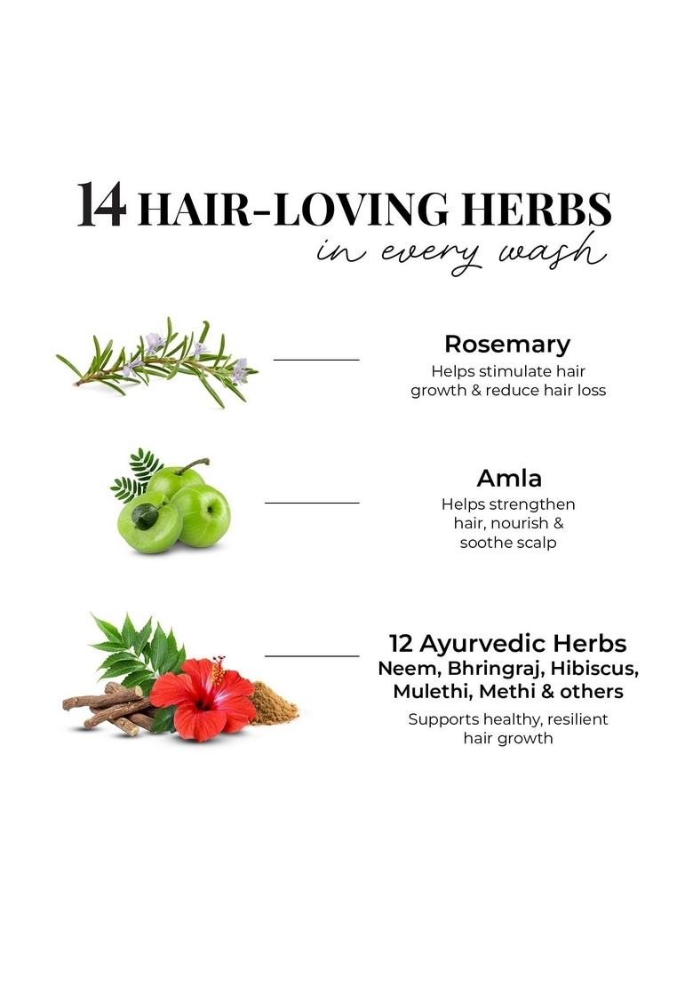 Just Herbs 8 In 1 Root Nourishing Amla Neem Hair Fall Control Shampoo For Men & Women