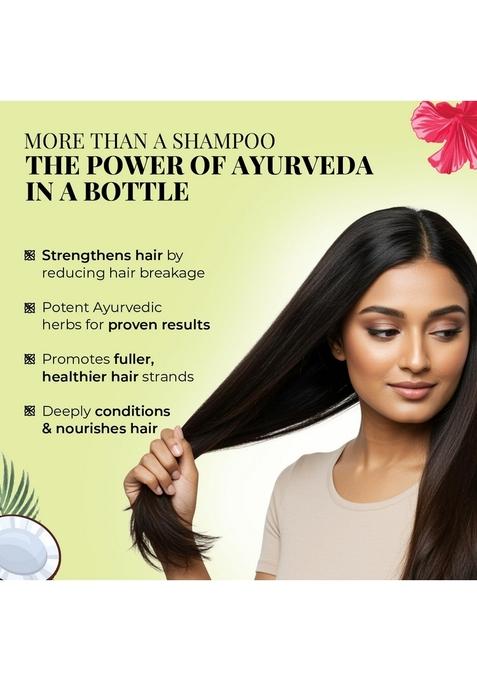 Just Herbs Castor And Black Onion Seed Sulfate Free Shampoo Reduce Hairfall,Hair Loss For Dry Frizzy, Normal Hair Types Men & Women