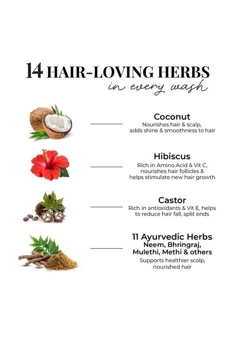 Just Herbs Castor And Black Onion Seed Sulfate Free Shampoo Reduce Hairfall,Hair Loss For Dry Frizzy, Normal Hair Types Men & Women