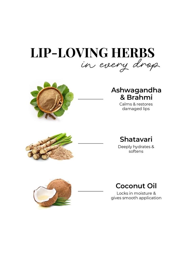 Just Herbs Herb Enriched Matte Liquid Lipstick | Set Of 4 Ayurvedic For Women Hydrating & Lightweight Long Lasting (Deeps And Reds)