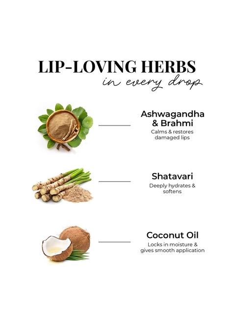 Just Herbs Herb Enriched Matte Liquid Lipstick | Set Of 4 Ayurvedic For Women Hydrating & Lightweight Long Lasting (Deeps And Reds)