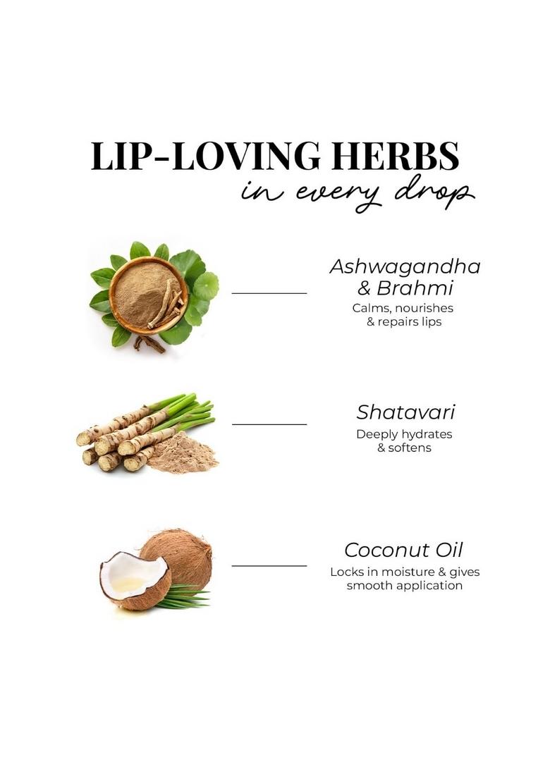 Just Herbs Herb Enriched Matte Liquid Lipstick | Set Of 5 For Women Brights & Pinks Shade Hydrating Lightweight Ashwagandha Brahmi