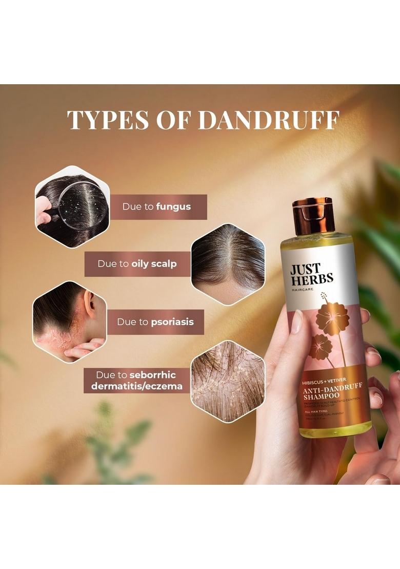 Just Herbs Ayurvedic Anti-Dandruff Shampoo | Natural For Dry Scalp Clears Dandruff Sulphate & Paraben Free