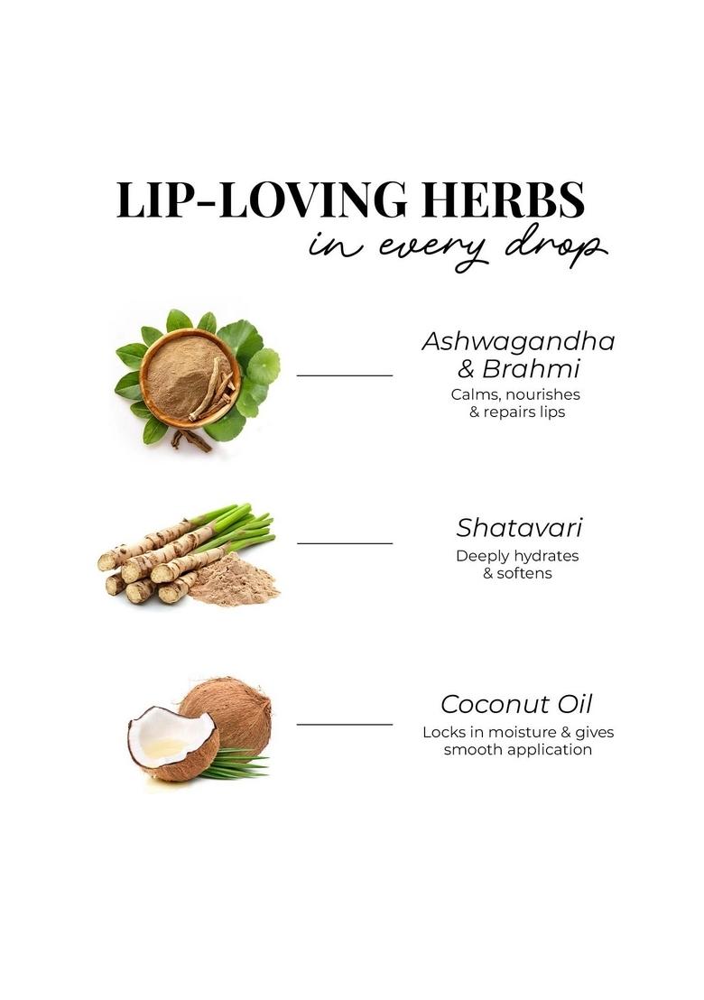 Just Herbs Herb Enriched Matte Liquid Lipstick | Set Of 3 For Women Day To Night Hydrating & Lightweight Ashwagandha Brahmi