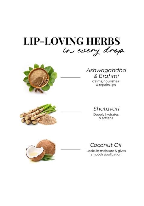 Just Herbs Herb Enriched Matte Liquid Lipstick | Set Of 3 For Women Day To Night Hydrating & Lightweight Ashwagandha Brahmi