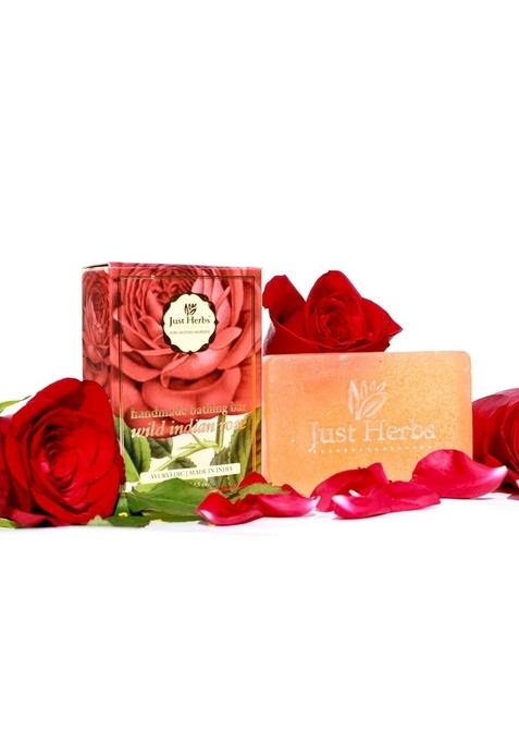 Just Herbs Ayurvedic Coconut And Aloe Vera Handmade Bathing Soap Barmen Women