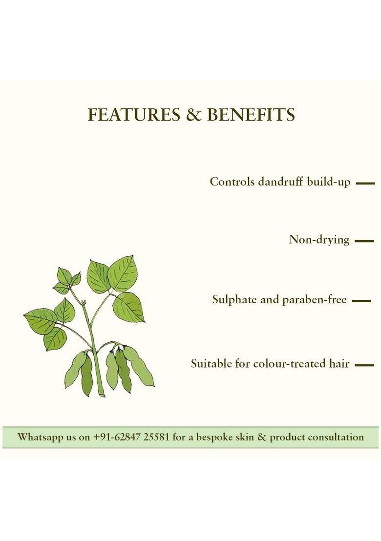 Just Herbs Dandruff Control Ayurvedic Soya Protein Shampoo & Ayurvedic, Natural Lip Cheek Tint, Blush For Women