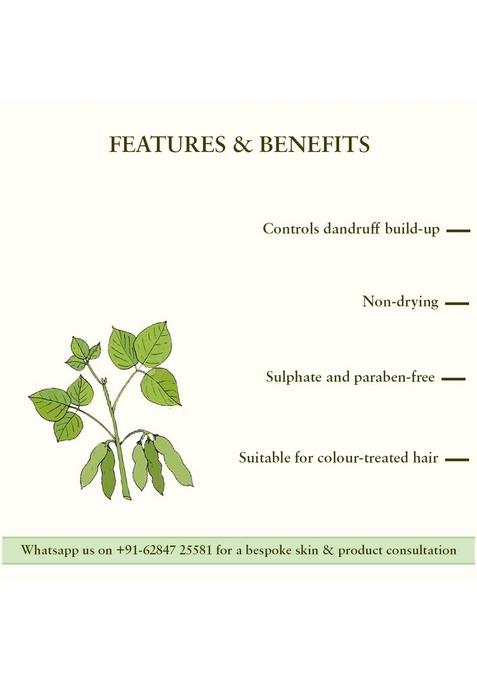 Just Herbs Dandruff Control Ayurvedic Soya Protein Shampoo & Anti Hairfall Natural Hair Mask With Castor Black Onion Seed For Dandruff, Boost Growth Spa