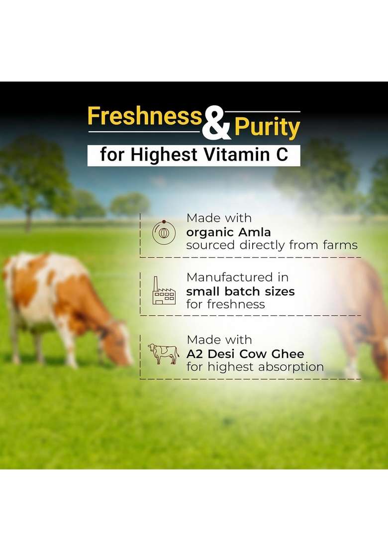 Cureveda Herbal Pureprash Immunity Booster For All Age Groups- Jaggery Based, Saffron Kesar, Sugar Free Chyawanprash (500Gms) - Indya